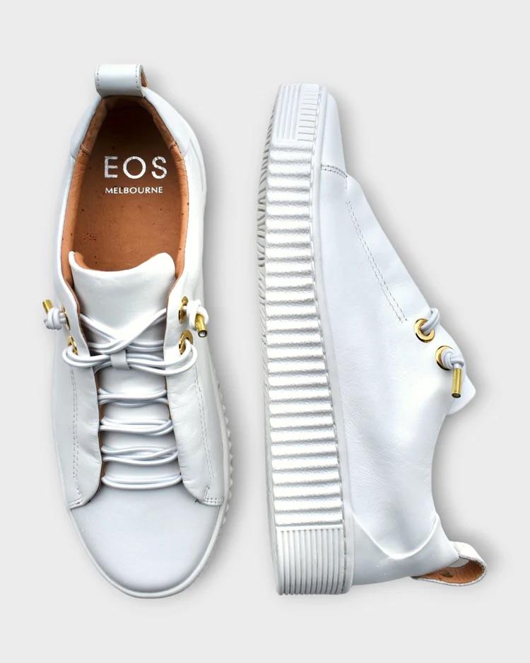 Jool Canvas Shoes