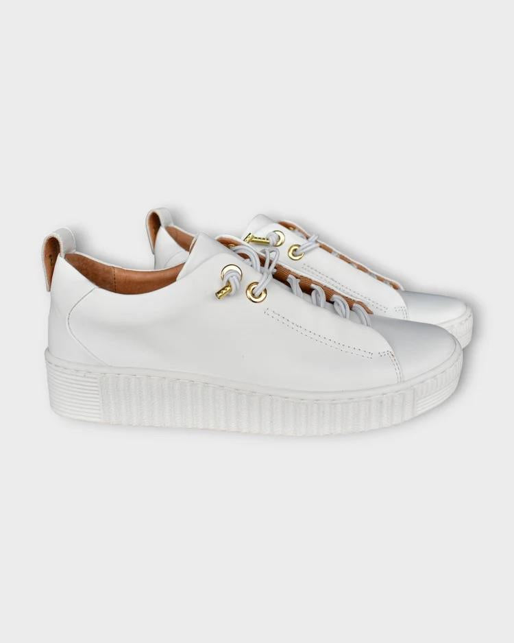 Jool Canvas Shoes